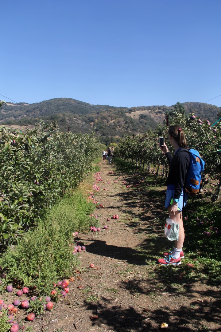 Julian: Best Place to Hike, Worst Place to Apple&nbsp;Pick