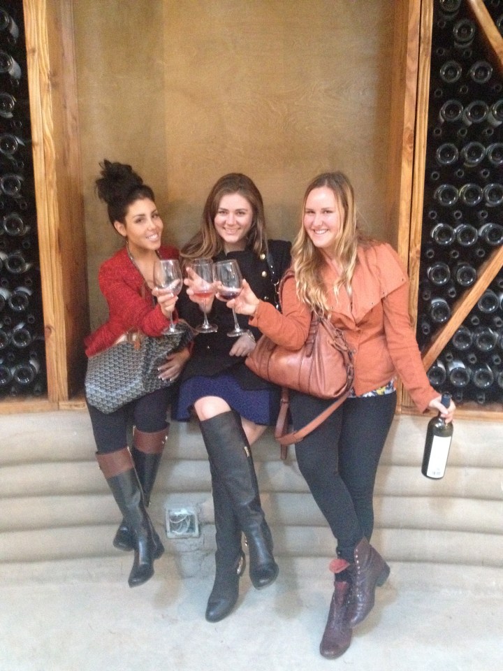 The Vineyard Chronicles: El Buen Vino de&nbsp;Ensenada