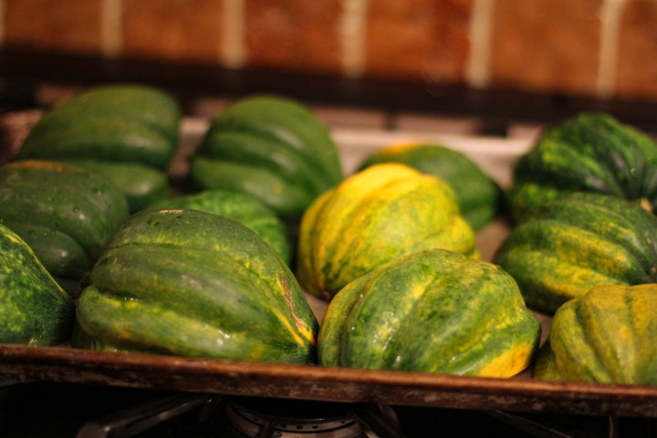 acorn squash 2 copy