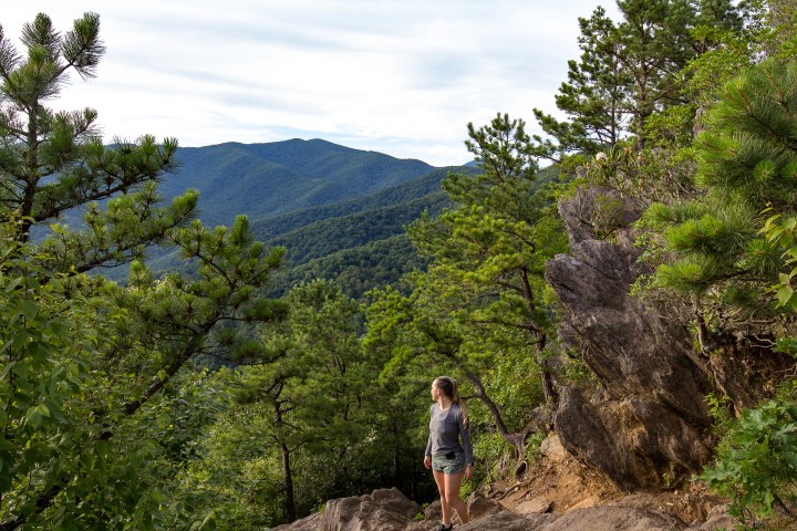 The T1D BMD Connection- Type 1 Diabetes and Osteoporosis&nbsp;risk